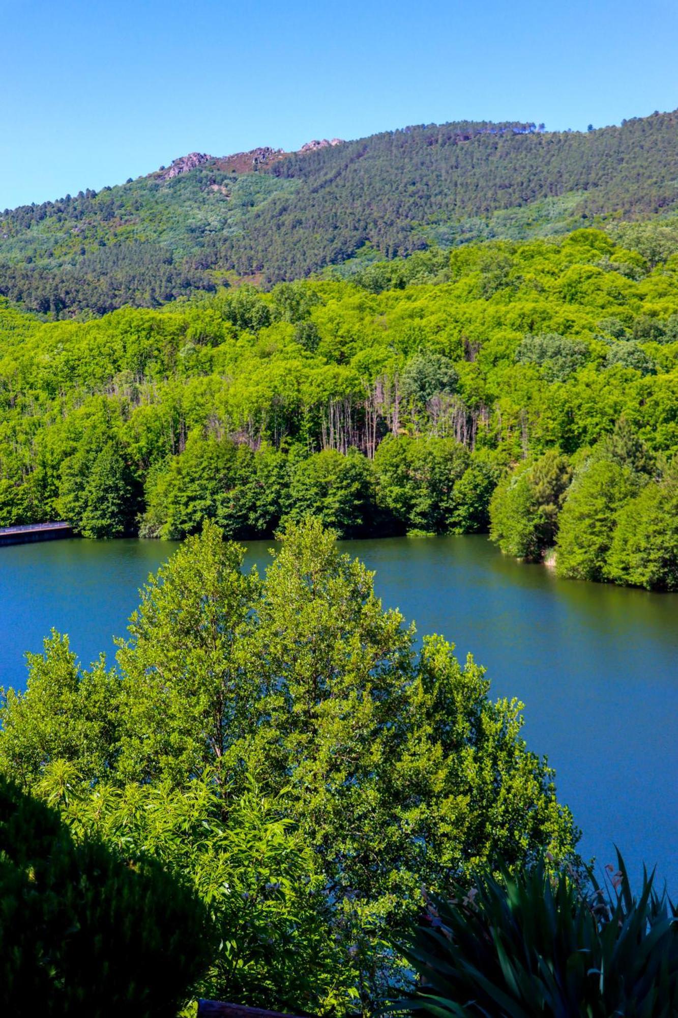 El Patio De Los Naranjos Guadalupe  Bagian luar foto